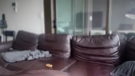 shy_Colette stripchat stream image