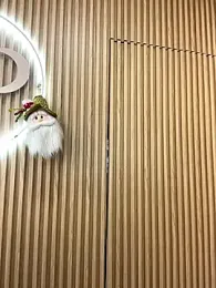 clarachanelricek stripchat stream image