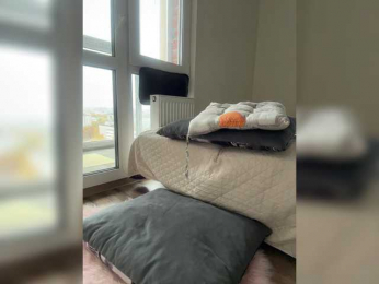 SSaibaliii bongacams stream image