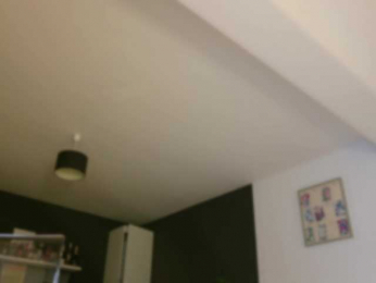 EmilyxJames bongacams stream image