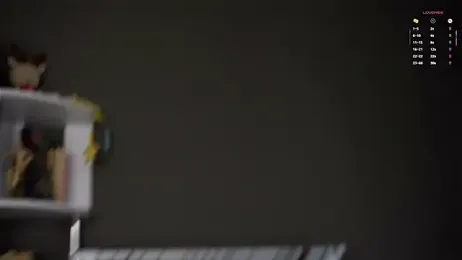 DarylBarks stripchat stream image