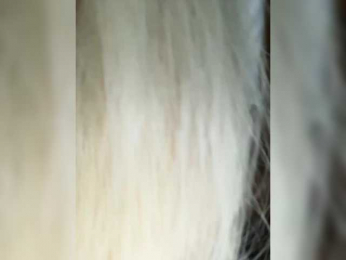 -Riviera- bongacams stream image