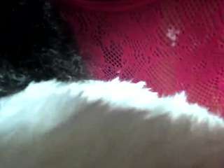 giannalove camsoda stream image