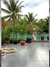 BabyThree_ stripchat stream image