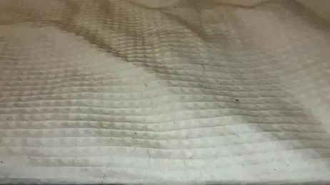 LucyLuxee19 stripchat stream image