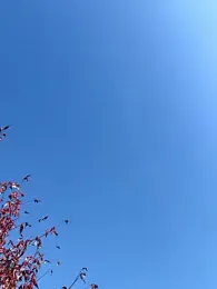 KikiWatson stripchat stream image