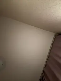 xDinnax stripchat stream image