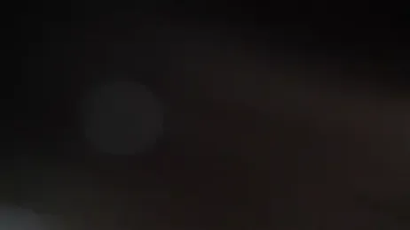 conny__curly stripchat stream image