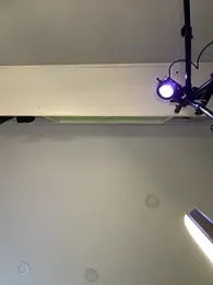 MisFrekcles_ stripchat stream image