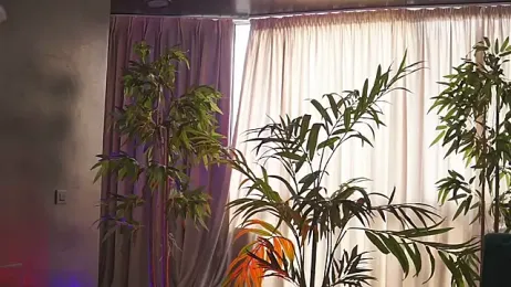 HotBustyBabeX stripchat stream image