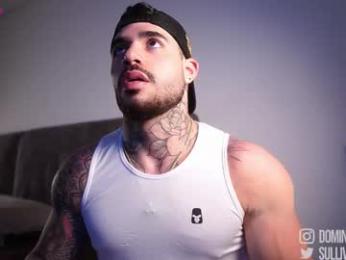 dominic_sullivan1 chaturbate stream image, 03.12.2025 02:50