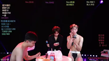 BOYgayHouse- stripchat stream image