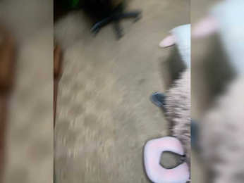 xunybany bongacams stream image