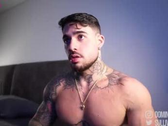 dominic_sullivan1 chaturbate stream image, 15.12.2025 05:00