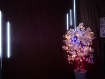 xforyoureyesonlyx chaturbate stream image