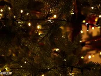 ms_seductive chaturbate stream image