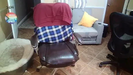 superbearboss stripchat stream image, 31.12.2025 15:10