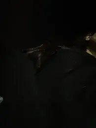 dominantandsubmissiveshow stripchat stream image