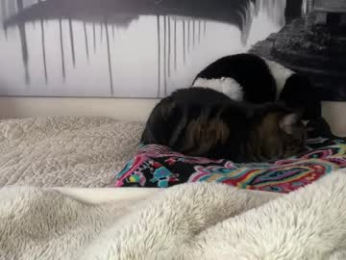 anyaa777 chaturbate stream image