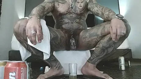 danilog515 stripchat stream image