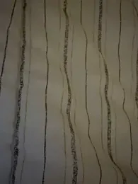 dvoi stripchat stream image