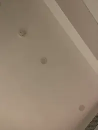 MEOW_MEO stripchat stream image