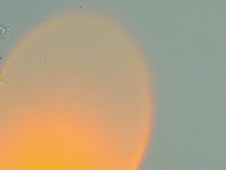 Alyssa Bonett flirt4free stream image