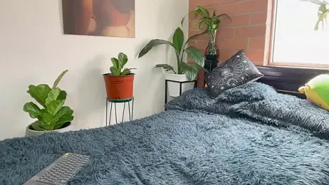 Andy_Belier23 stripchat stream image