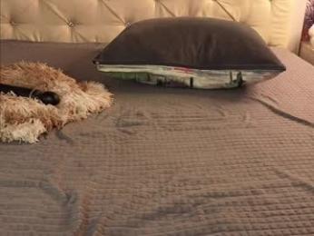 freyabyrne chaturbate stream image