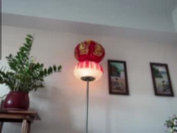 girl_next_door19 chaturbate stream image, 08.03.2026 04:10