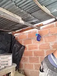 hoteder stripchat stream image