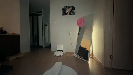 Al1ce_Fox stripchat stream image