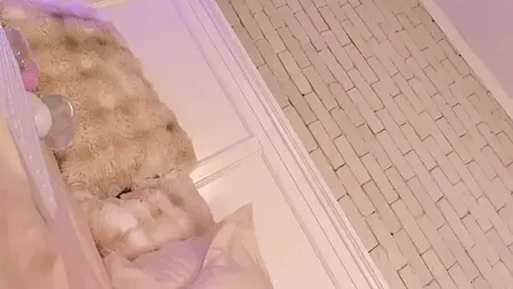 EmillyBronte stripchat stream image