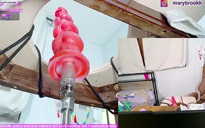 MaryBrook1 stripchat stream image, 26.03.2026 21:10