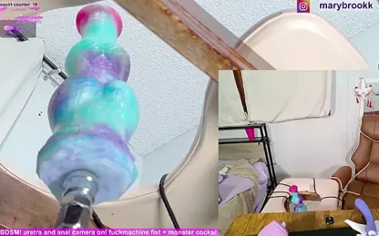 MaryBrook1 stripchat stream image, 26.03.2026 21:10