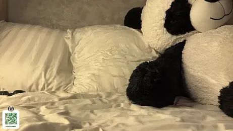 notecarret stripchat stream image