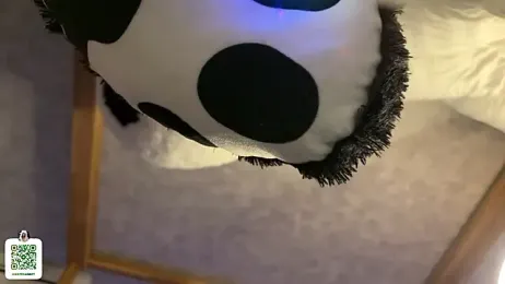 notecarret stripchat stream image