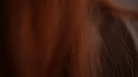 AdritVance stripchat stream image, 15.04.2026 13:10