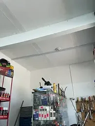 Paul22cm- stripchat stream image, 22.05.2026 13:40