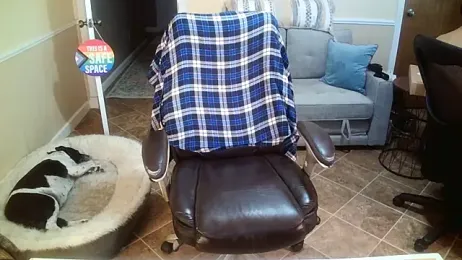 superbearboss stripchat stream image, 28.05.2026 16:20