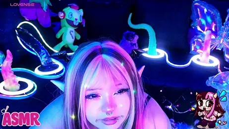 LaytonBox stripchat stream image, 16.06.2026 14:00