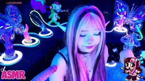 LaytonBox stripchat stream image, 16.06.2026 14:00