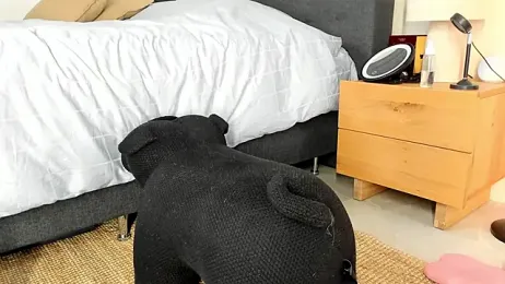 mazekyn stripchat stream image