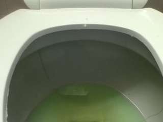 stalliontheesavage camsoda stream image, 17.09.2026 02:50