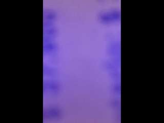 sarahpeterson camsoda stream image