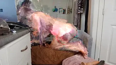 Skinnychinamilf stripchat stream image
