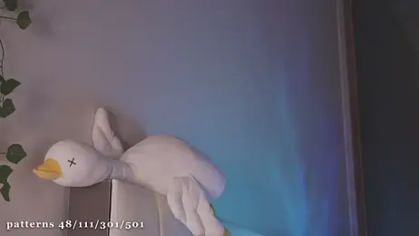 liassmolly1_couple stripchat stream image