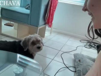 frenchava chaturbate stream image