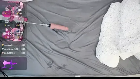 darcie_ stripchat stream image