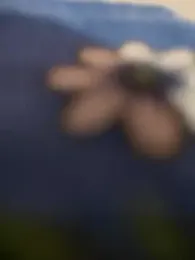 COUPLLE_VILLAGE stripchat stream image